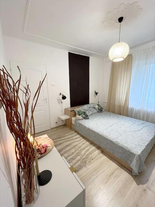 Modern In Area Timişoara