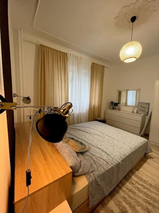 Apartament Modern In Area